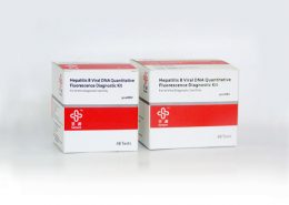 Biochemical Test  Hbv Dna Pcr Kit — One Step Technology – Cima® Medical